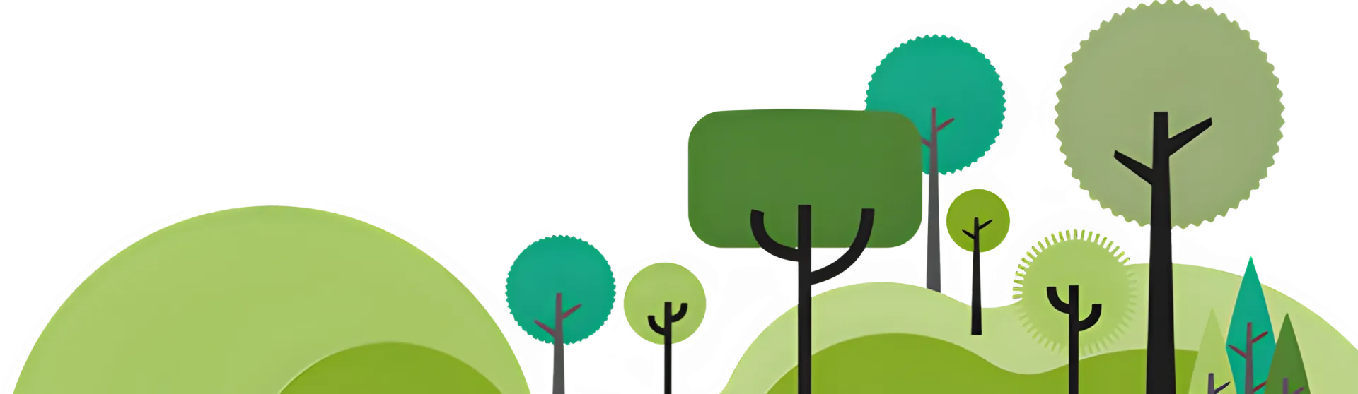 forest background