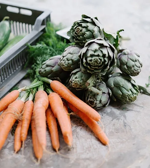 zanahorias y alcachofas